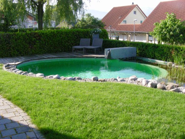 piscine_naturelle_08
