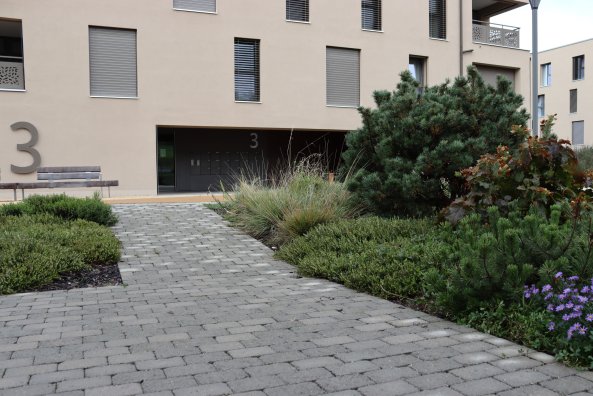 pavé_tegula_03
