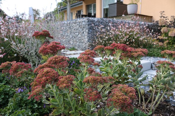 plantations_marsens_2
