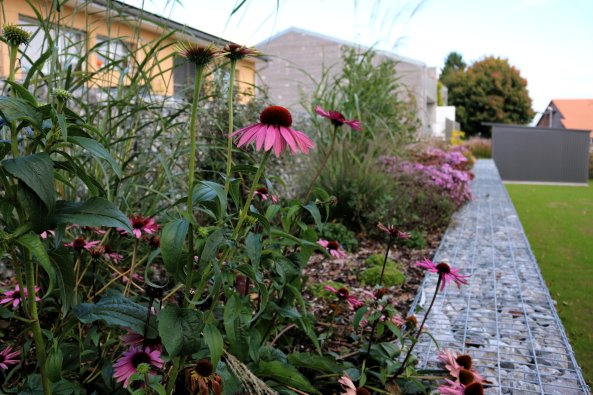 plantations_marsens_3