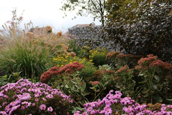 plantations_marsens_4