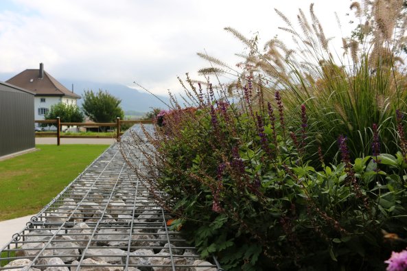 plantations_marsens_5