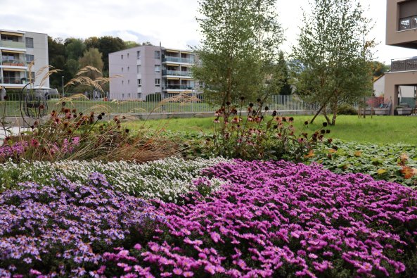 plantations_montmoirin_04